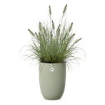 sereh high 30cm verde scandinavo